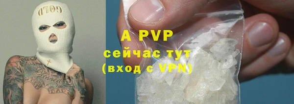крисы Аркадак