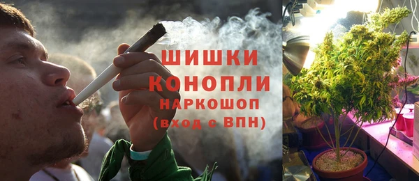 крисы Аркадак