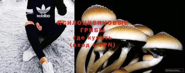 крисы Аркадак