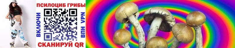 Псилоцибиновые грибы Magic Shrooms  Сочи 