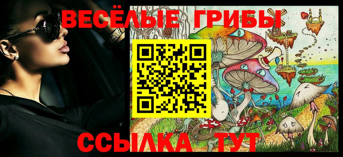 Псилоцибиновые грибы Psilocybine cubensis Сочи